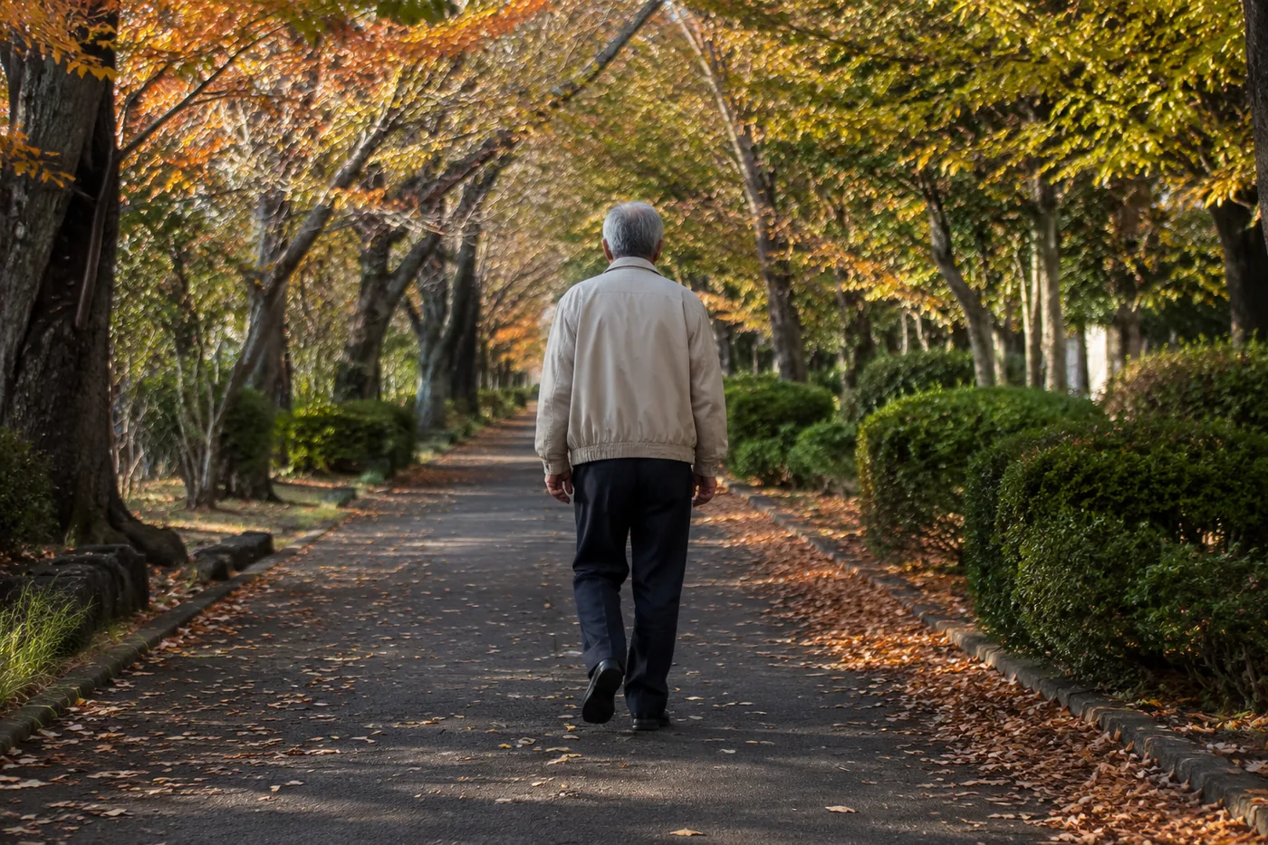 色づいた並木道を、ゆっくり歩く高齢の男性の後ろ姿